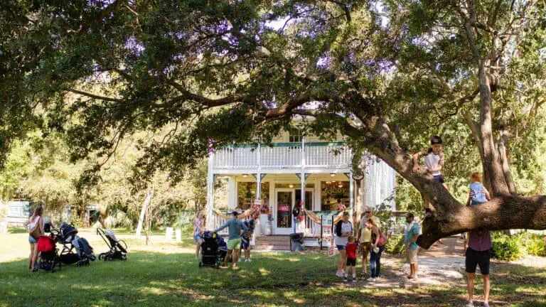 View of the autumn harvest fest at Boyd Hill in St. Pete. Large trees provide shade while families stroll from a white cabin on a sunny day. This is part of St. Pete's big fall events lineup