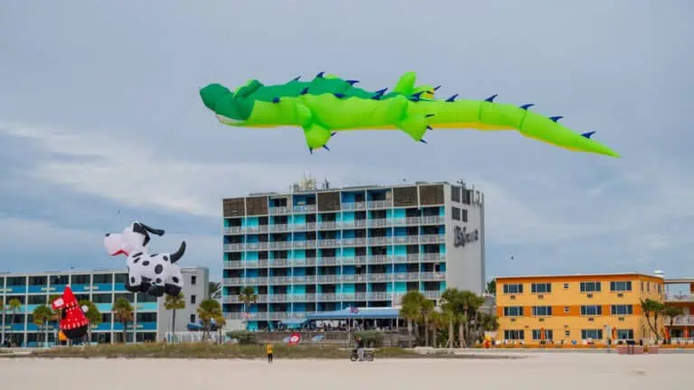 Kites flying at the beach