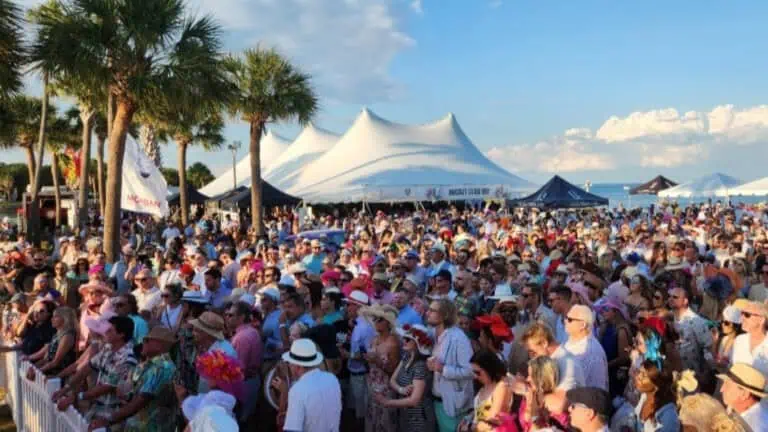 People at an outdoor festival