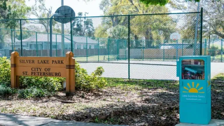 Image of a park with a basketball hoop and a food pantry dispenser in front of it