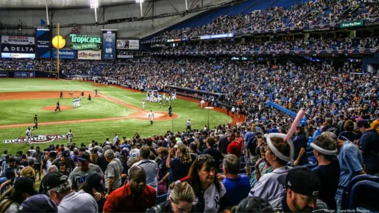 fans at a Rays game