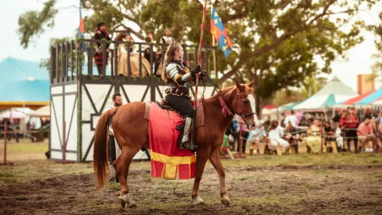 A person riding a horse