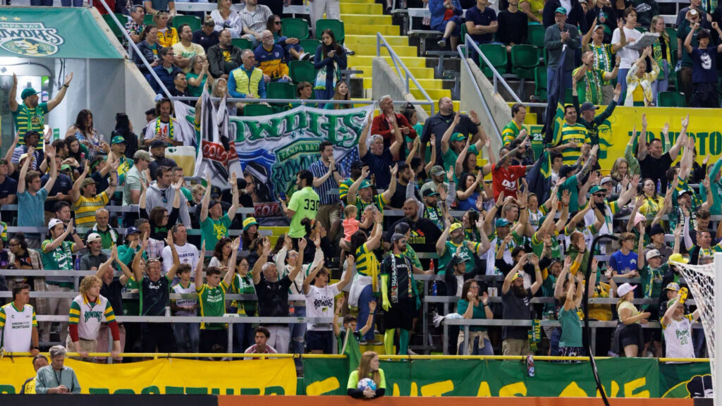 People at a soccer game