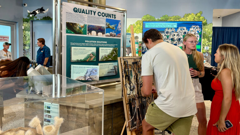 Three young adults interact with artwork and an indoor educational exhibit focused on environmental quality and pollution.