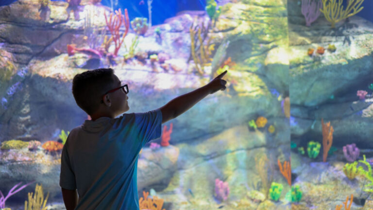 A child at an aquarium