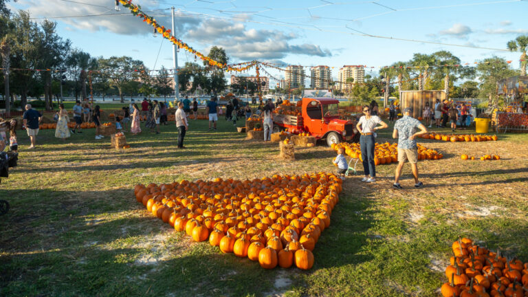 The St. Pete Pier pumpkin patch